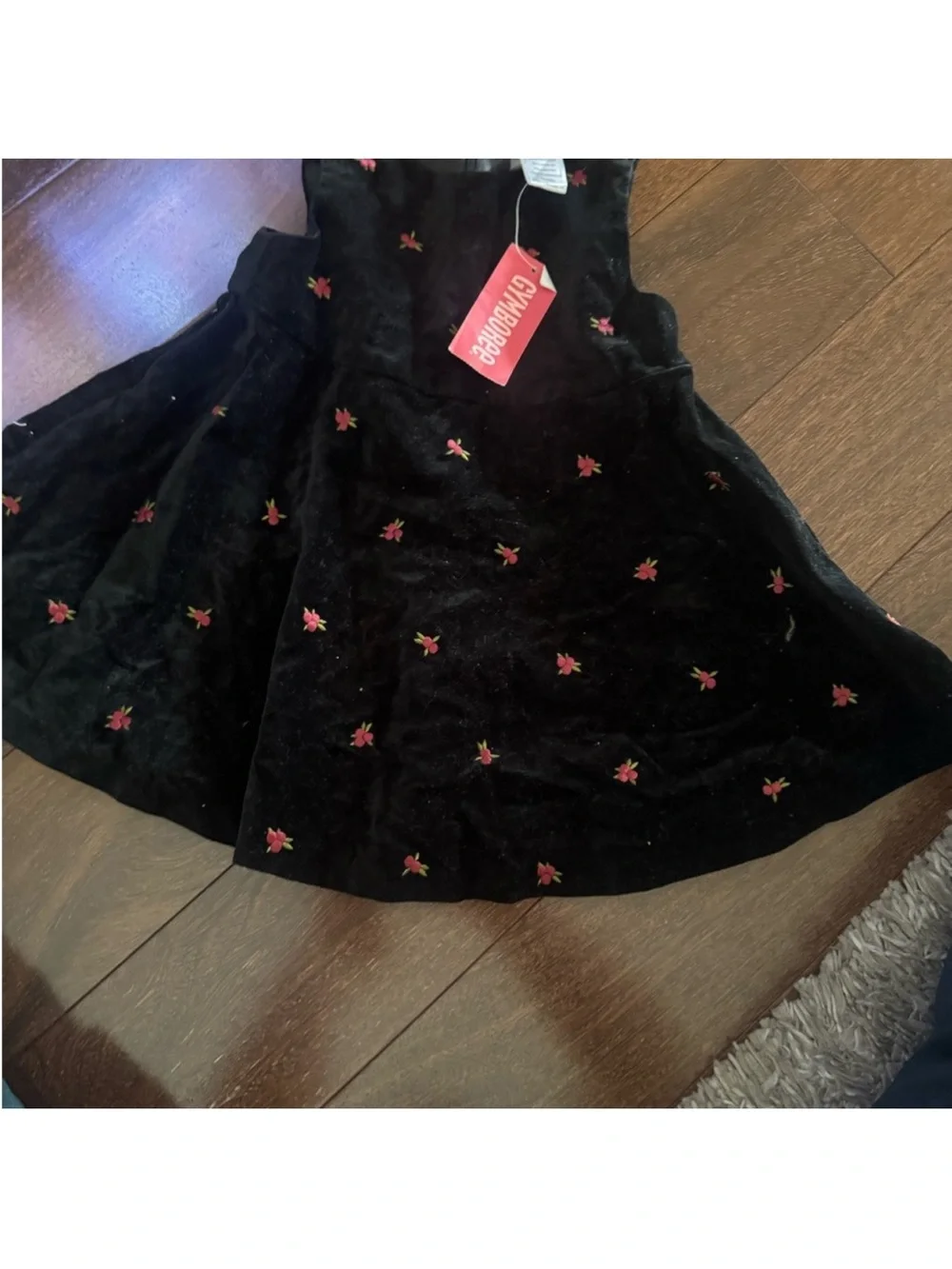 Gymboree Black Velvet Dress with red Floral Accents